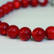 red coral2