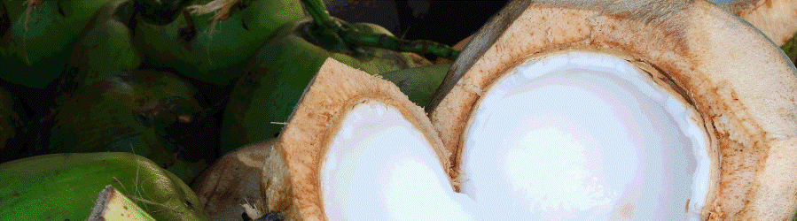 coconut maldives